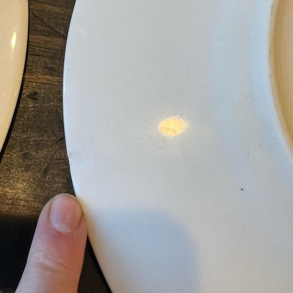 222 Fifth Slice of Life Dinner Plates- set of four - Picture 8 of 12